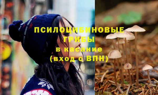 а пвп мука Осташков