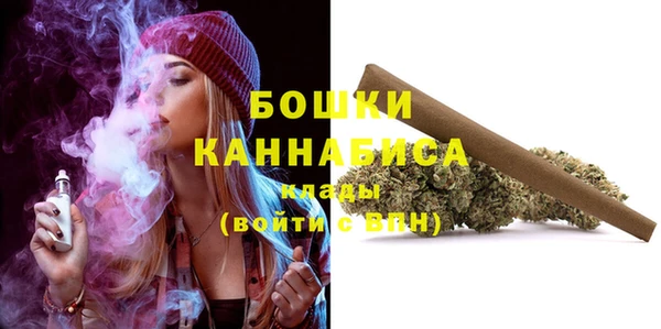 индика Абинск
